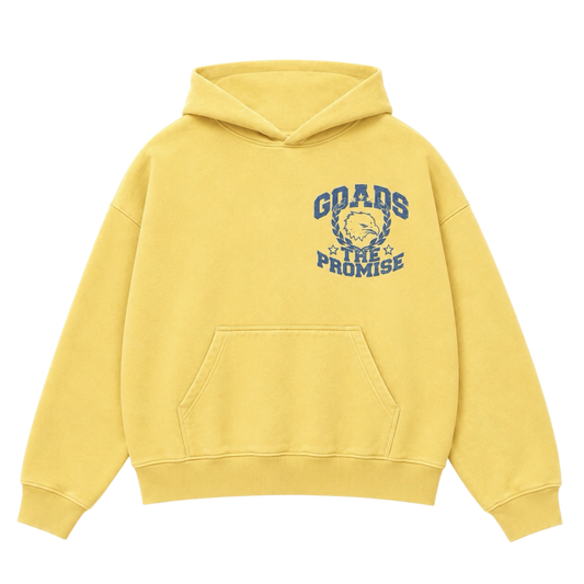 THE PROMISE HOODIE
